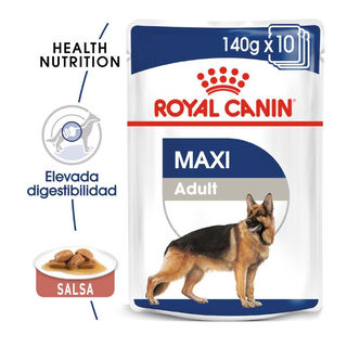 Royal Canin Maxi Adult Carne sobre en salsa para perros
